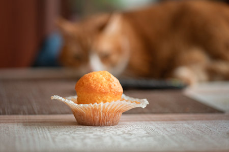 Delicious freshly baked homemade cake.の写真素材