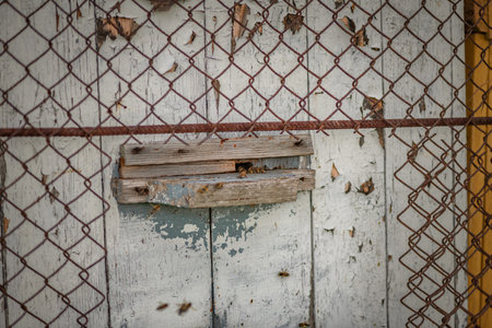 Village transportable apiary on a cart, stands on the field. bees collect honey.の写真素材