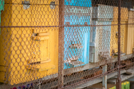 Village transportable apiary on a cart, stands on the field. bees collect honey.の写真素材