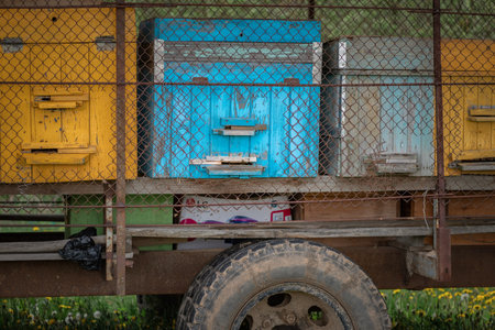 Village transportable apiary on a cart, stands on the field. bees collect honey.