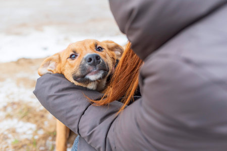 Girl hugs a dog. Photographed close-up.の写真素材