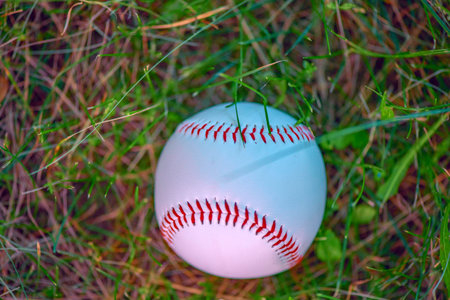 Baseball ball on green grass. Close-up photographed.