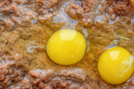 two chicken eggs broken in a gratified potato.の写真素材