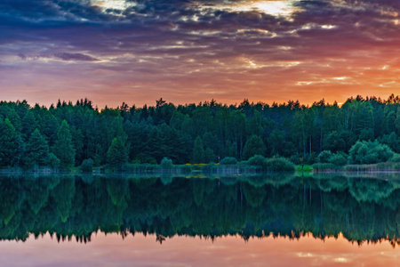 Forest by the lake before summer sunset.の写真素材