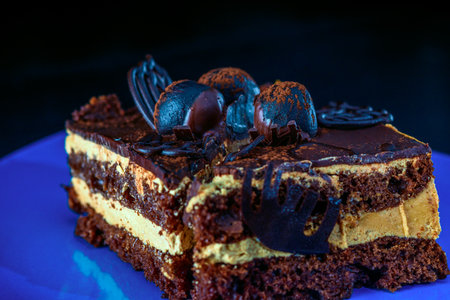 A piece of chocolate cake photographed close-up.
