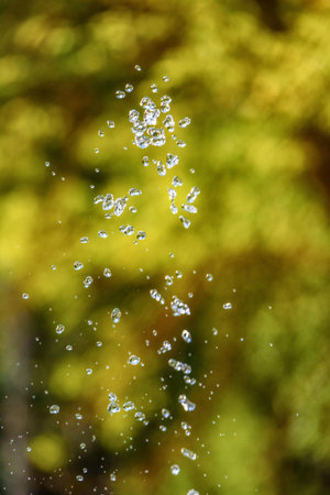 drops of a fountain on a green backgroundの写真素材