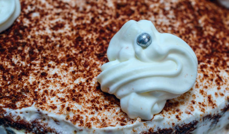 Delicious tiramisu cake with whipped cream, close-upの写真素材