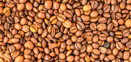 Coffee beans background. Roasted coffee beans close up.の写真素材