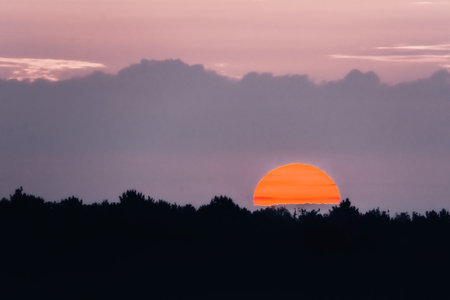 sunset over the dark forestの写真素材