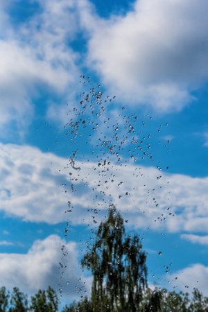 drops of a fountain against the skyの写真素材