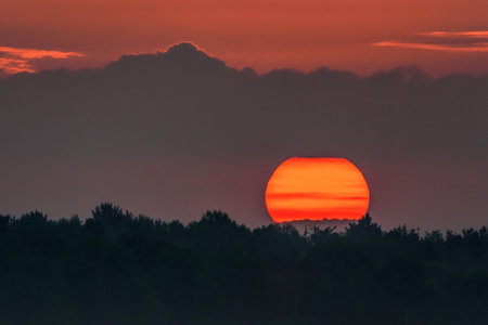sunset over the dark forestの写真素材