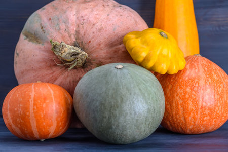 Variety of pumpkins and squashes on a wooden background.の写真素材
