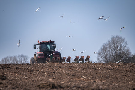Red tractor plowing a field with flying birds in the background, showcasing agricultural activity...