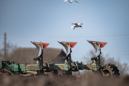 Red tractor plowing a field with flying birds in the background, showcasing agricultural activity and the beauty of rural landscapes in a sunny environmentの写真素材