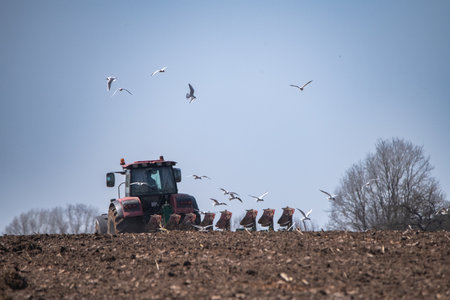 Red tractor plowing a field with flying birds in the background, showcasing agricultural activity and the beauty of rural landscapes in a sunny environmentの写真素材