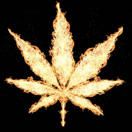 Fire cannabis leaves isolated on white background Growing medical marijuana cbdの写真素材