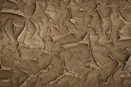 Cracked earth background texture. Abstract texture for background