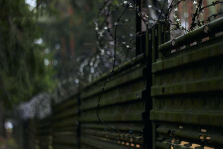 Tall fence with barbed wire angle shot outdoors autumn leafs