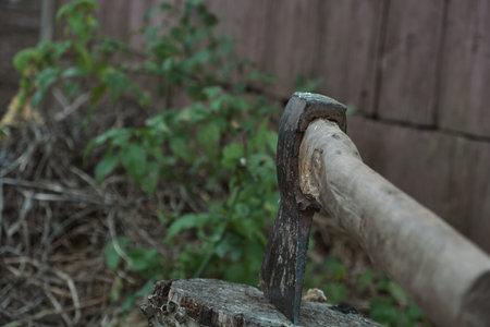 Old rusty axe with wooden handle stuck in the stump Large ax in hand