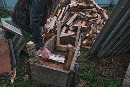 A man worker loads firewood into a wheelbarrow for heating the house which are unloaded in the yard...