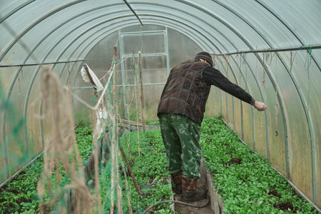 Fertilizing the garden by bio granular fertilizer for better conditions of gardenの写真素材