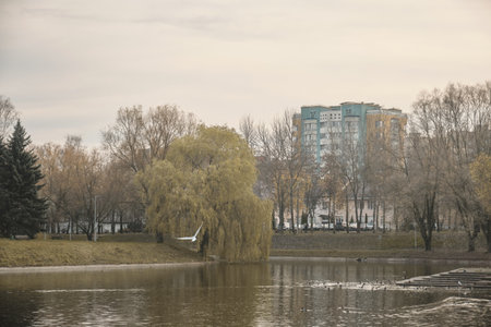 Beautiful autumn urban park. Public park with fallen leaves fields trees waterways benches stones waterfall and pondの写真素材