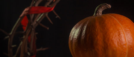 Yellow-orange pumpkins with crown of thorns on a black background the concept of Halloween and the autumn harvest of pumpkin close-up copyspace from aboveの写真素材