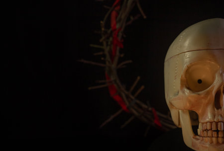 Skull of a person with crown of thorns close up on a black backgroundの写真素材