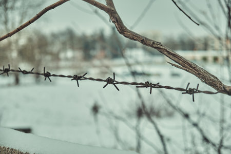 Old barbed wire on a concrete fence large with snow in winter close-up Selective focusの写真素材