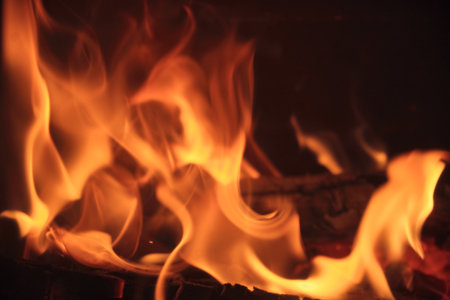 Close up shot of burning firewood in the fireplace