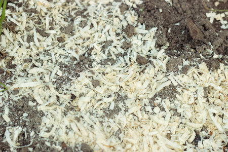 Texture of the land with humus, sand and sawdust. Alternative fuel, wood chipsの写真素材