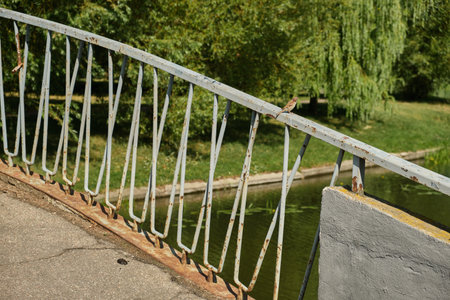 Bow bridge in Central park at spring sunny dayの写真素材