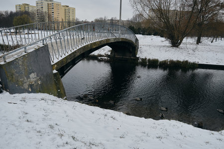 First snow in the winter park with walking path and a bridge across the river. Ducks swim in the waterの写真素材