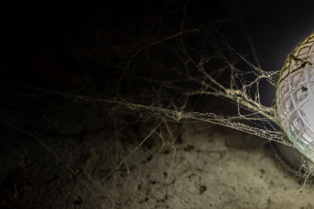 cobweb in the light of a lantern in a dark, scary, damp room not far from the exit to the street, a spider hid to attack its victim, horrorの写真素材