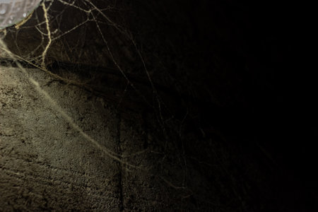 cobweb in the light of a lantern in a dark, scary, damp room not far from the exit to the street, a spider hid to attack its victim, horrorの写真素材