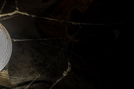 cobweb in the light of a lantern in a dark, scary, damp room not far from the exit to the street, a spider hid to attack its victim, horrorの写真素材