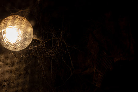 cobweb in the light of a lantern in a dark, scary, damp room not far from the exit to the street, a spider hid to attack its victim, horrorの写真素材