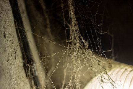 cobweb in the light of a lantern in a dark, scary, damp room not far from the exit to the street, a spider hid to attack its victim, horrorの写真素材