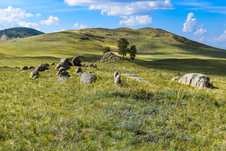 Mountain meadow with stones in the summer. Khakassia, Siberia, Russiaの写真素材