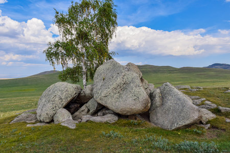 Mountain landscape with a birch and stones in the steppe. Khakassia, Siberia, Russiaの写真素材
