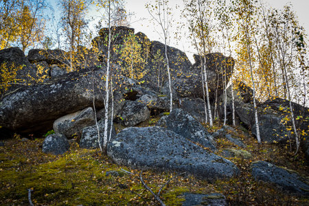 Autumn landscape with birch trees and rocks in the taiga. Khakassia, Siberia, Russia, Stone Park, Shirinsky Pillars, July Stone Parkの写真素材