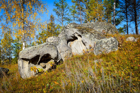 Rock formations in the autumn forest. Khakassia, Siberia, Russia, Stone Park, Shirinsky Pillars, July Stone Parkの写真素材