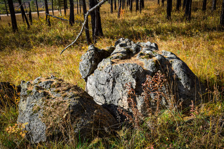 autumn colored forest with large boulders in the foreground and dry grass on the ground. Khakassia, Siberia, Russia, Stone Park, Shirinsky Pillars, July Stone Parkの写真素材