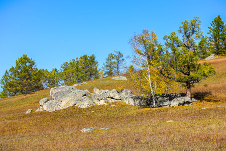 Autumn mountain landscape with birch trees and rocks. Khakassia, Siberia, Russia, Stone Park,...