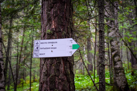 Directional sign on a tree in the forest. Forest trail. Khakassia, Siberia, Russiaの写真素材