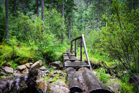 Wooden bridge over a stream in the forest. Beautiful summer landscape. Khakassia, Siberia, Russia