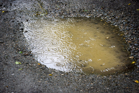 Rain puddle on the road. Puddle on the asphalt.の写真素材