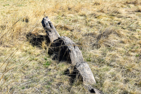 Wooden fence in the steppe. Spring in the steppe.の写真素材