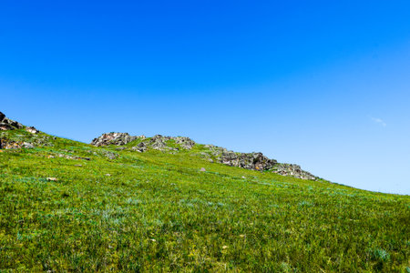 Summer mountain landscape with green meadow and rocks under blue sky. Khakassia, Siberia, Russia