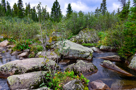Mountain stream in the highlands of the Ergaki Nature Park, Russia, Krasnoyarsk Territory, Siberiaの写真素材